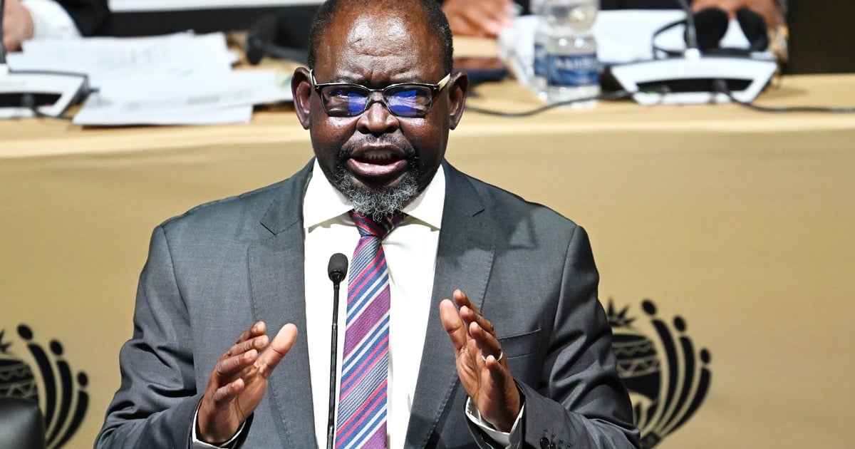 Finance Minister says SA is still fixing the fiscal damage done under Zuma's administration