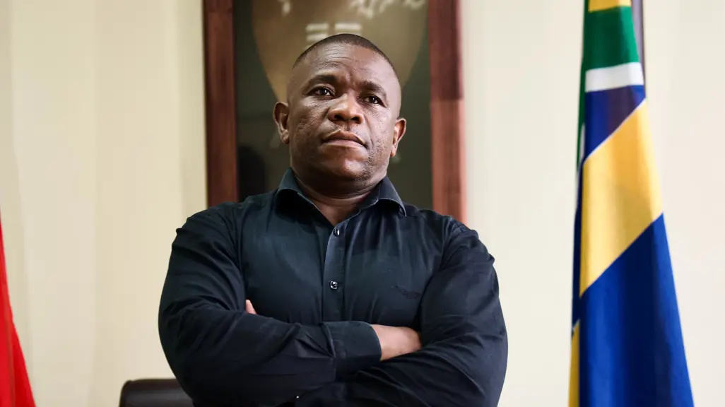 Parties want Mkhwanazi to expose all those implicated in alleged police corruption