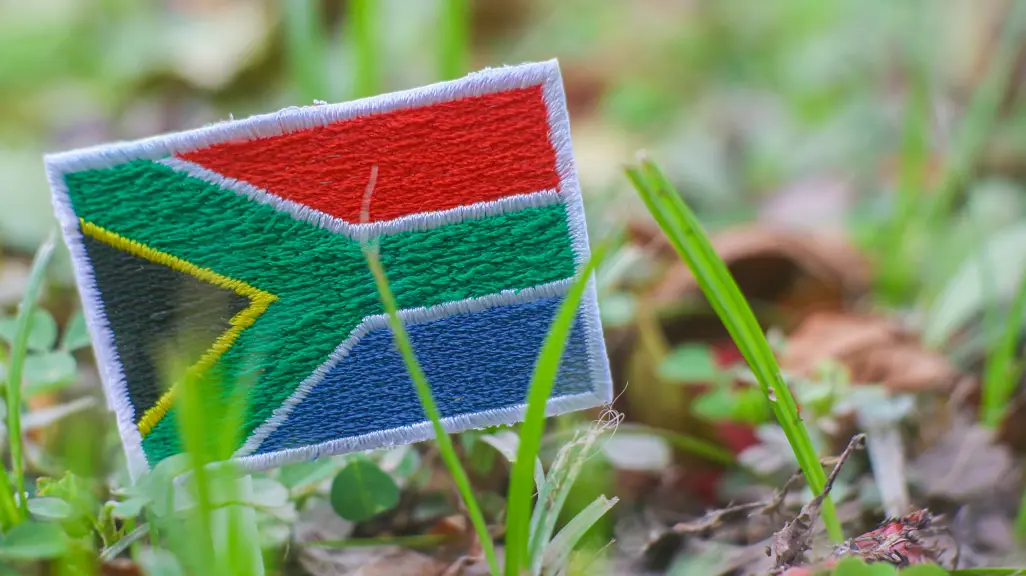 South Africa cannot fully monitor dual citizens, analyst warns