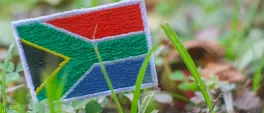 Reverse immigration: why South Africans overseas are returning home Reverse immigration: why South Africans overseas are returning home