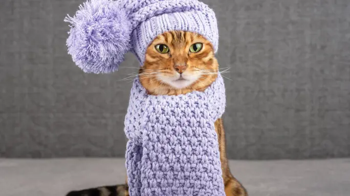 WEATHER: Freezing cold Johannesburg, sunny Pretoria, clear Cape Town ...