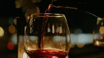 South African fine wine bar 'Igoli Bar' opens in London: 'Our audiences are absolutely going to love these wines!' South African fine wine bar 'Igoli Bar' opens in London: 'Our audiences are absolutely going to love these wines!'