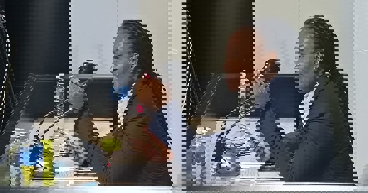 Decades of delays: TRC cases inquiry hears testimony on Nokuthula Simelane