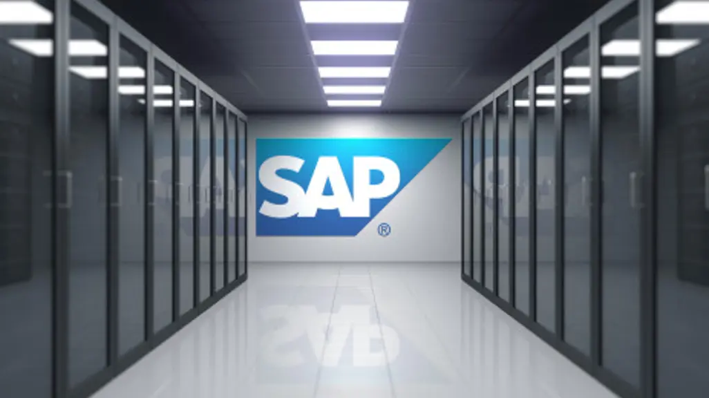 AN IN DEPTH LOOK AT SOFTWARE GIANT SAP visual data 5
