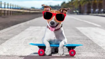 WEATHER: Expect sunny Gauteng, pleasant Cape Town on Wednesday WEATHER: Expect sunny Gauteng, pleasant Cape Town on Wednesday