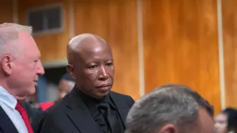 Social Worker argues no malicious intent in Julius Malema firearm case Social Worker argues no malicious intent in Julius Malema firearm case