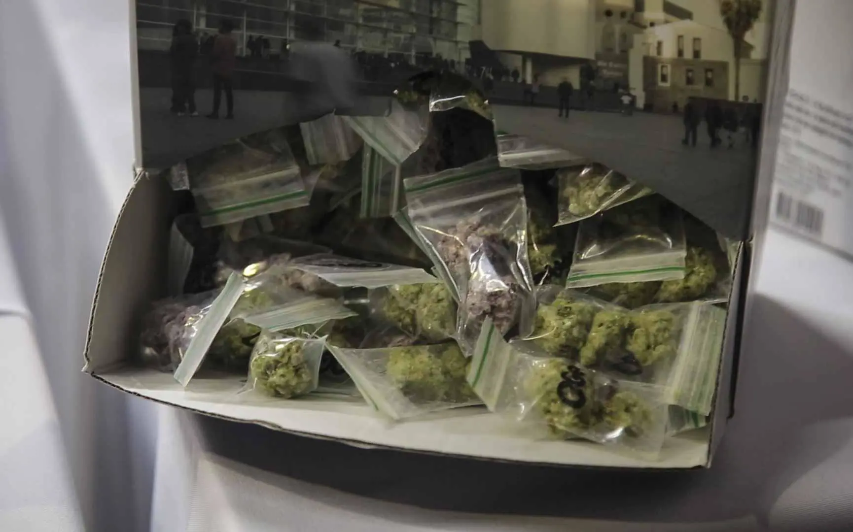 The 'Taste of Cannabis' exhibit at the Cape Town Cannabis Expo sold chocolates which were fashioned after marijuana plants. Picture: Eyewitness News The 'Taste of Cannabis' exhibit at the Cape Town Cannabis Expo sold chocolates which were fashioned after marijuana plants. Picture: Eyewitness News