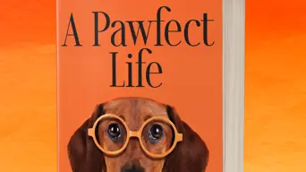 'Pawfect' book for pet parents: From the latest over-the-top trends to dealing with pet bereavement 'Pawfect' book for pet parents: From the latest over-the-top trends to dealing with pet bereavement