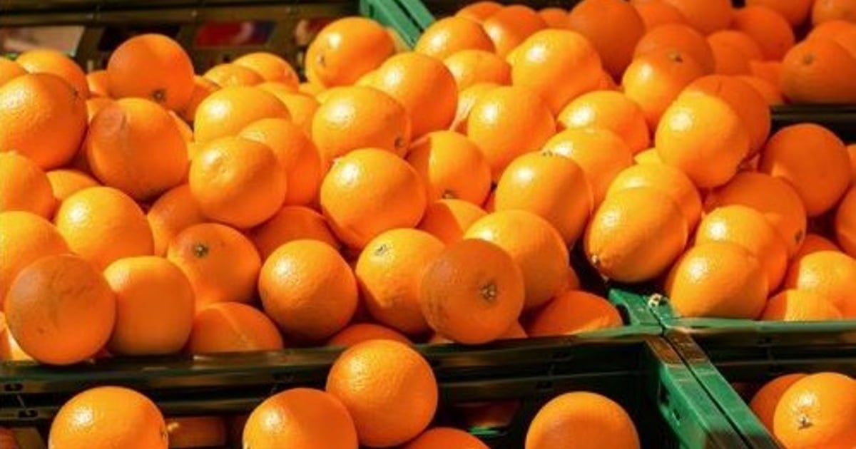 SA's citrus export forecast cut due to floods, Middle East conflict