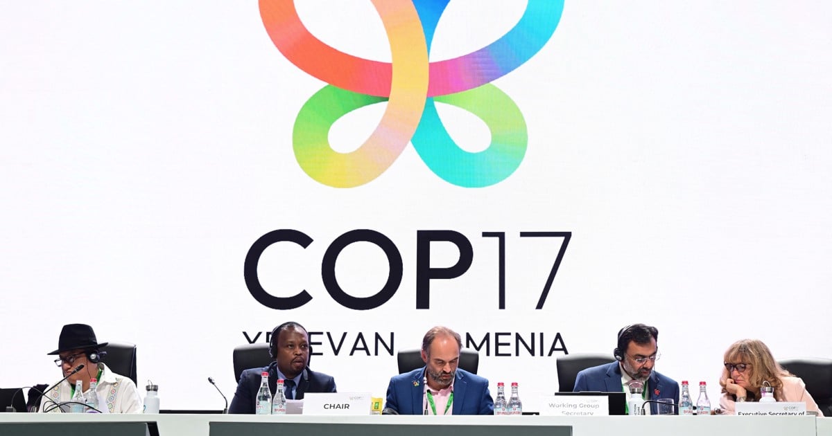 Nations commit to get nature goals back on track - EWN