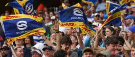 Stormers and Bulls secure Champions Cup playoff berths Stormers and Bulls secure Champions Cup playoff berths