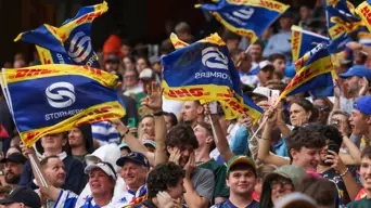 Stormers and Bulls secure Champions Cup playoff berths Stormers and Bulls secure Champions Cup playoff berths