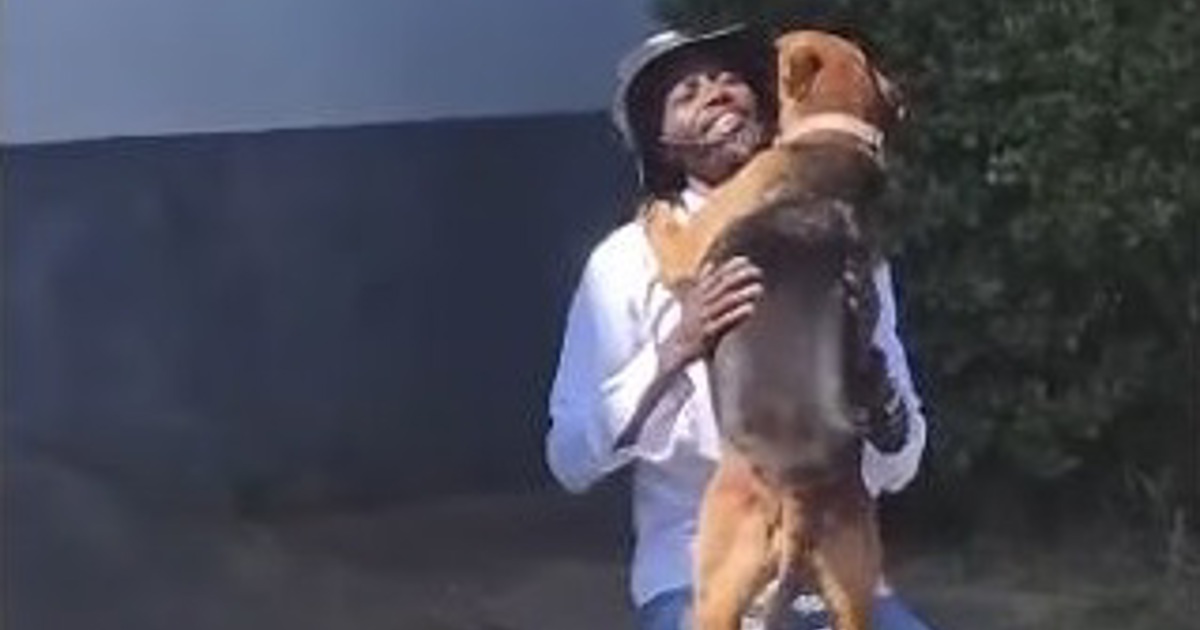 WATCH: Malawian who left SA and his beloved dog finally reunited