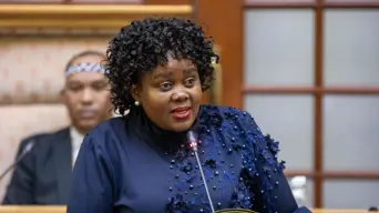There are no cases of political influence against prosecutors & investigators, Kubayi tells Parly There are no cases of political influence against prosecutors & investigators, Kubayi tells Parly