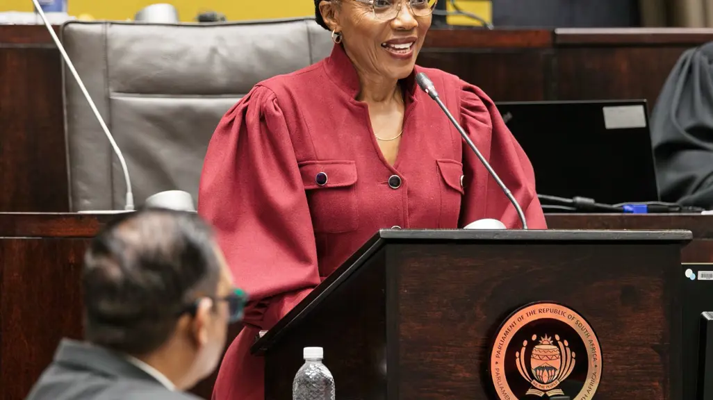 Acting Minister praises axed Tolashe as portfolio committee slams ...