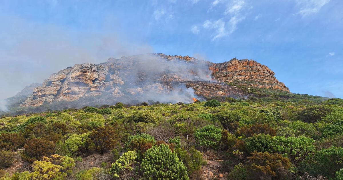 Firefighters battle blaze above Boyes Drive in Cape Town