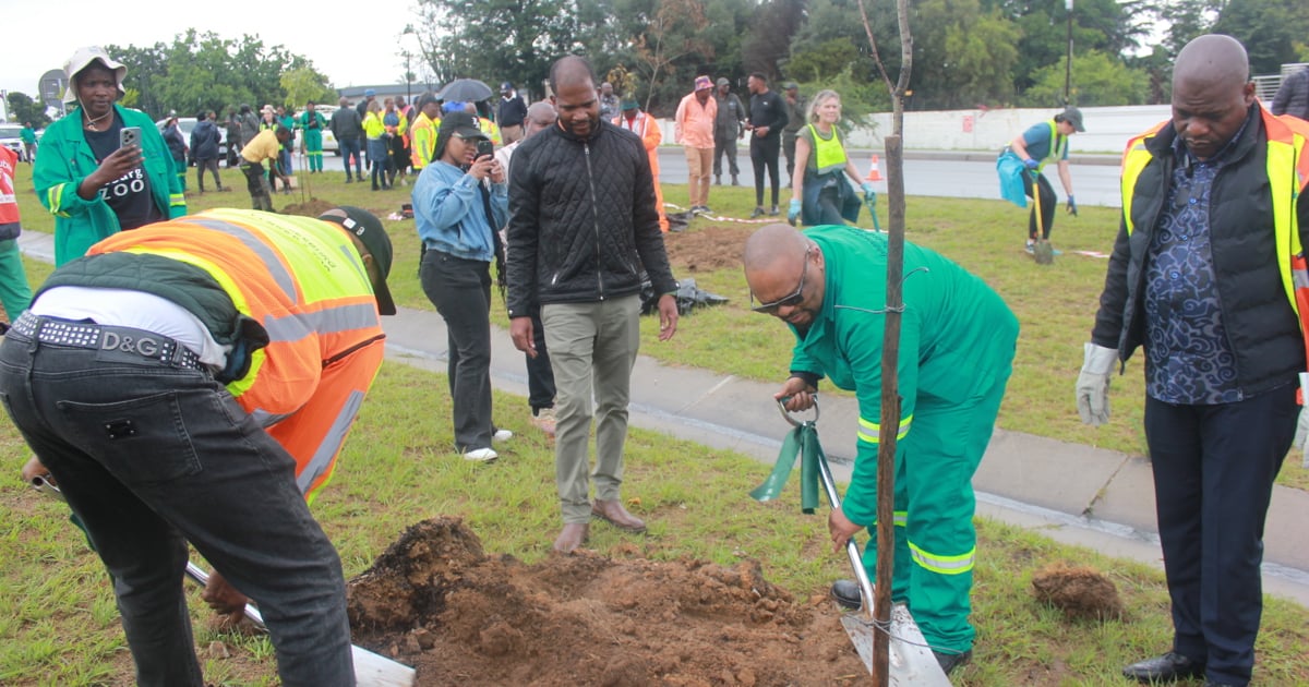 Joburg residents, city officials and private sector unite for Joburg's urban forest