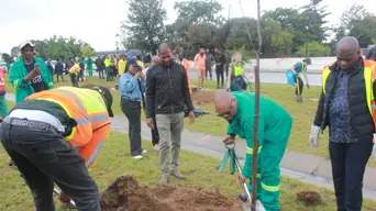 Joburg residents, city officials and private sector unite for Joburg's urban forest Joburg residents, city officials and private sector unite for Joburg's urban forest
