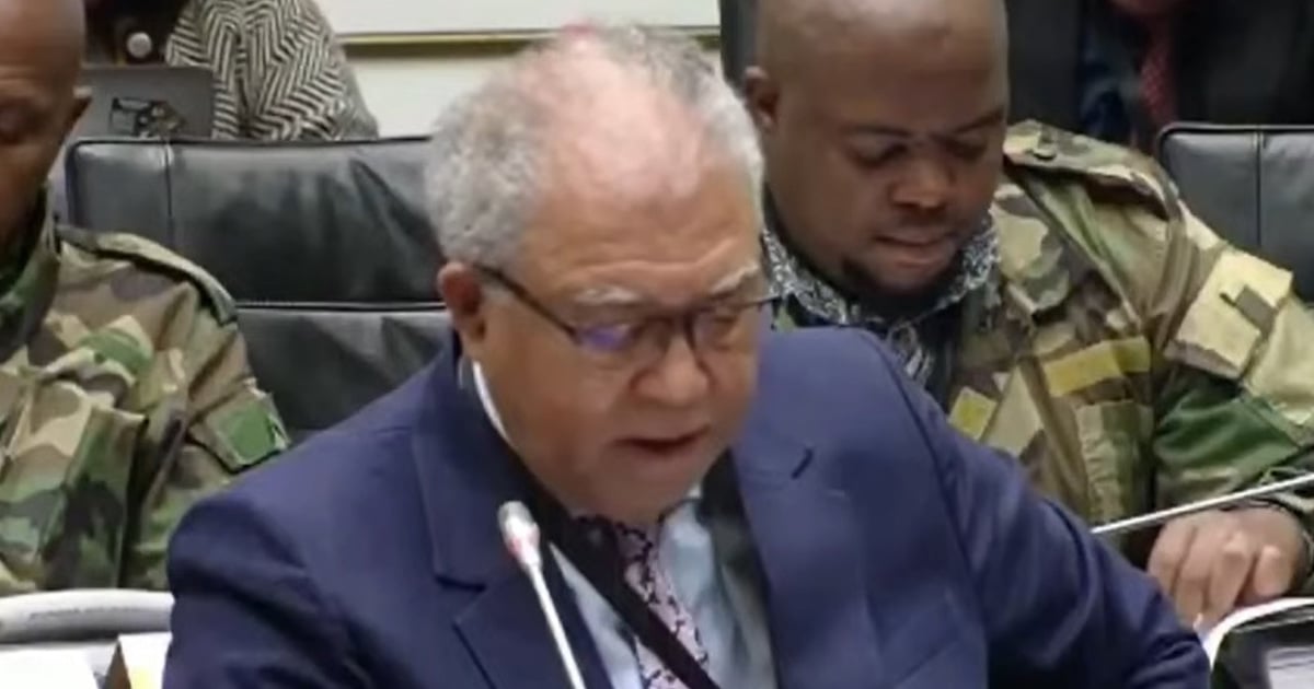 Parliament summons controversial businessman Brown Mogotsi in police corruption probe