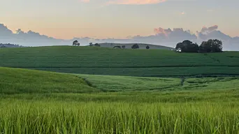 SA sugarcane growers set for improved harvest but concerns remain over impact of tariffs SA sugarcane growers set for improved harvest but concerns remain over impact of tariffs