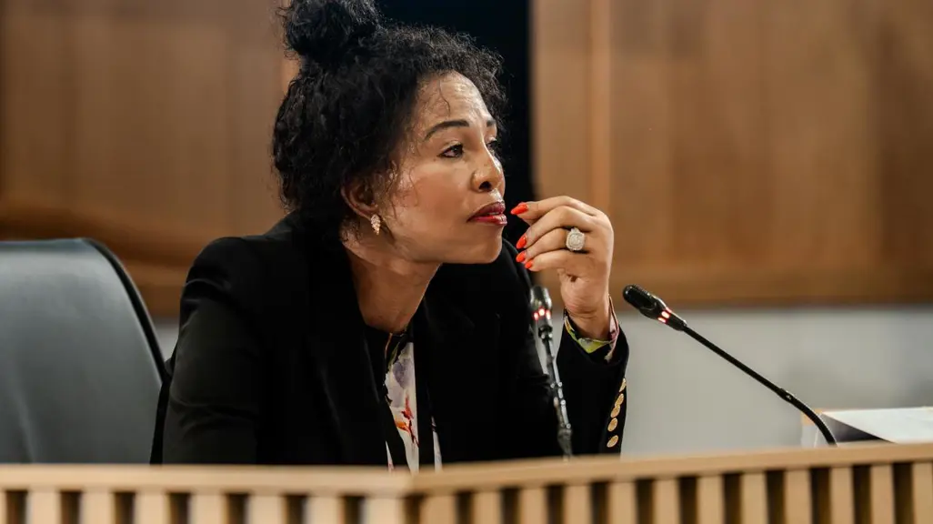 Madlanga Commission: Mashazi believes she was prejudiced during her  testimony