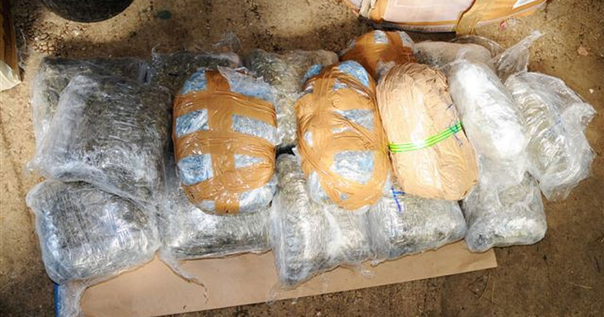 Five women suspected of being drug mules due in court