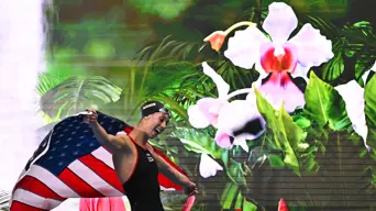 Walsh completes world butterfly double in riposte to Phelps Walsh completes world butterfly double in riposte to Phelps