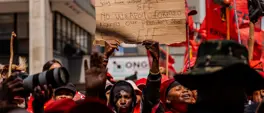EFF Gauteng dismisses concerns over Malema's political future EFF Gauteng dismisses concerns over Malema's political future