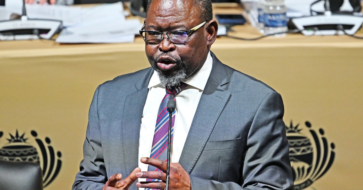 Godongwana says his budget can't be faulted for not apportioning money to ...