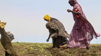 More than half of Sudan needs humanitarian aid: NGO chief More than half of Sudan needs humanitarian aid: NGO chief