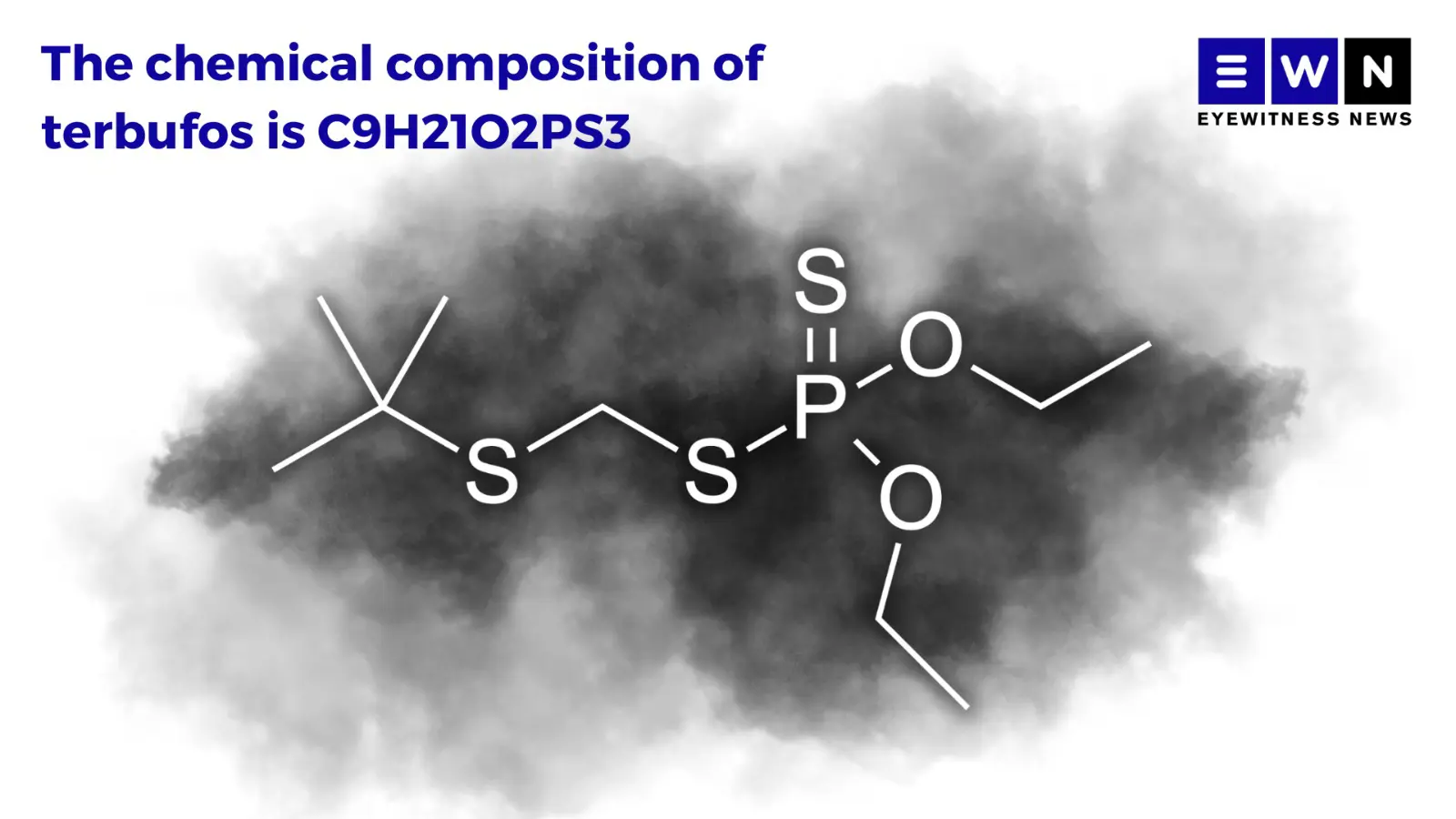 Graphic: Abigail Javier/Eyewitness News Graphic: Abigail Javier/Eyewitness News