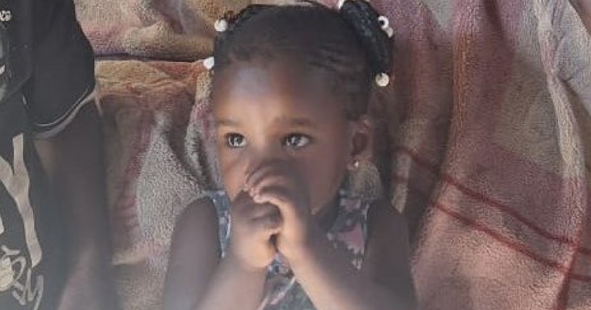 Eyewitnesses who saw toddler mauled to death by pack of dogs left ...