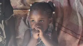 Puppy-loving toddler (3) mauled to death by dogs Puppy-loving toddler (3) mauled to death by dogs