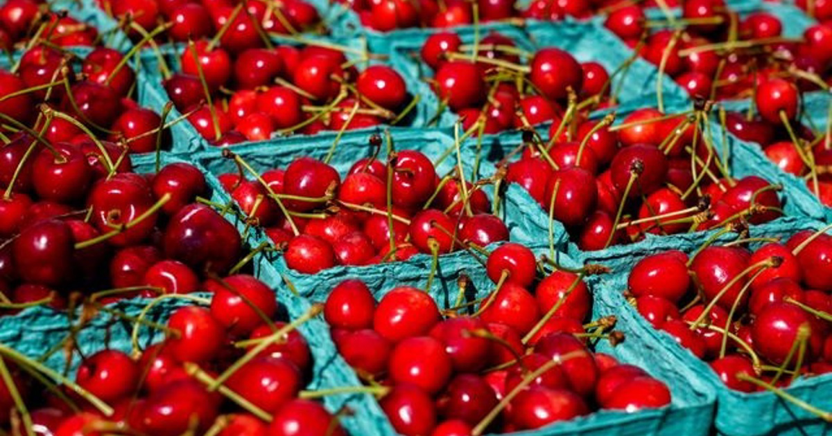 SA set to export cherries to China with signing of 'landmark' deal