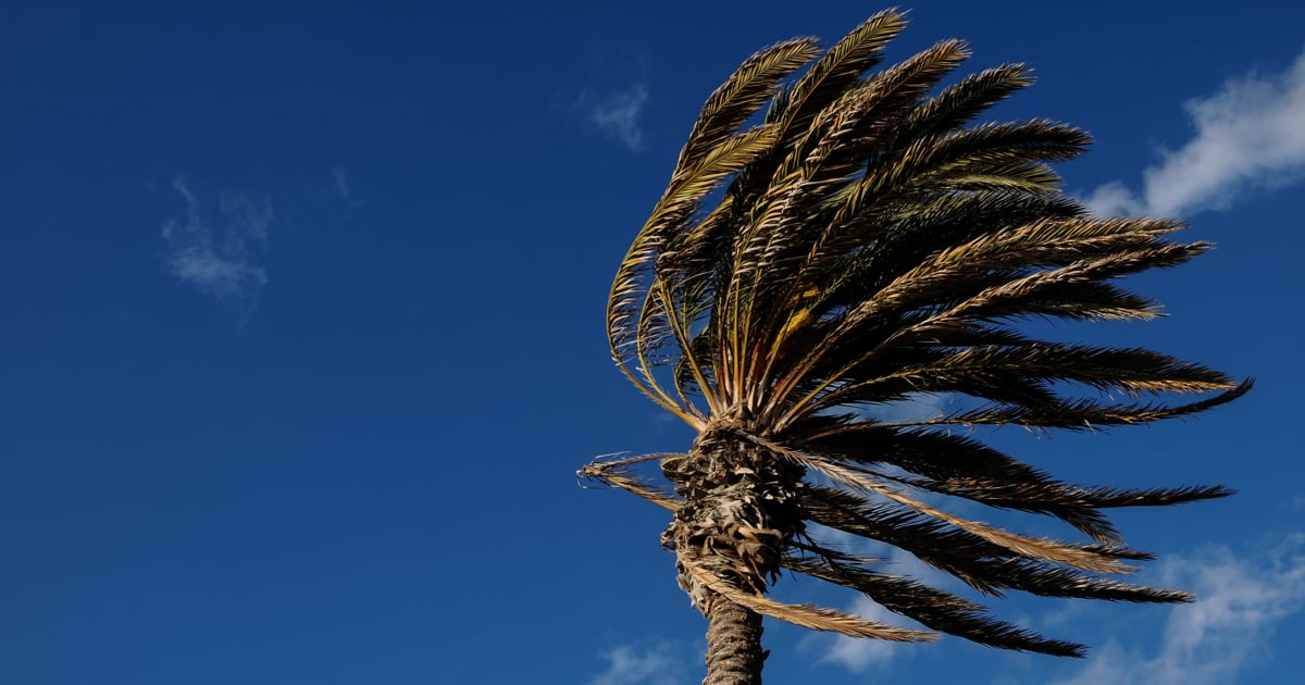 Disruptive weather expected to hit Western and Eastern Cape coasts early next week