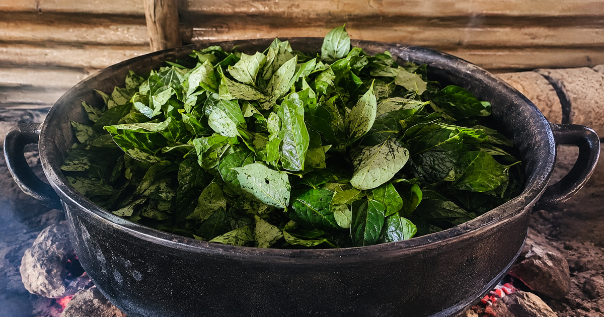 Morogo or kale? How social media is changing perceptinos about healthy ...