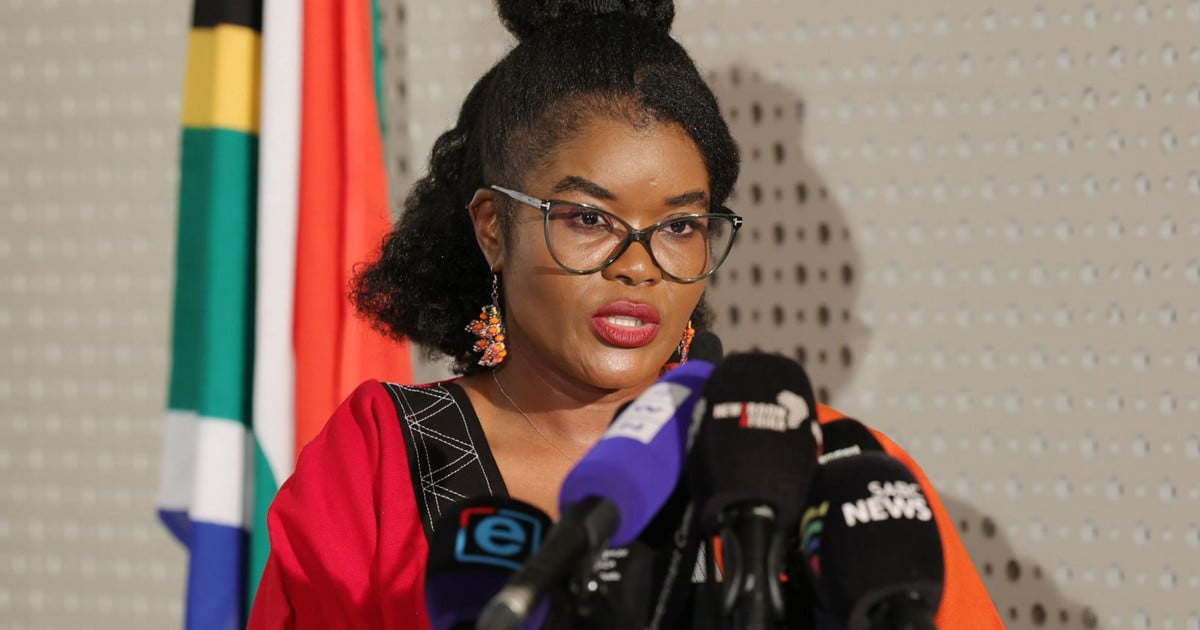Higher Education withdraws appointment of SETA board chairs