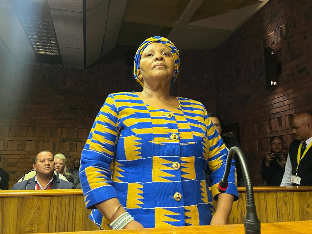 Mapisa-Nqakula wants SANDF to provide her with legal representation - Vimarsana News