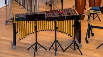 CT marimba players hope to break world record for largest ensemble CT marimba players hope to break world record for largest ensemble