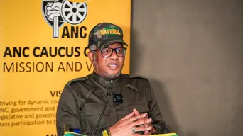 'Beyond every crook, there is a political figure' - Mbalula 'Beyond every crook, there is a political figure' - Mbalula