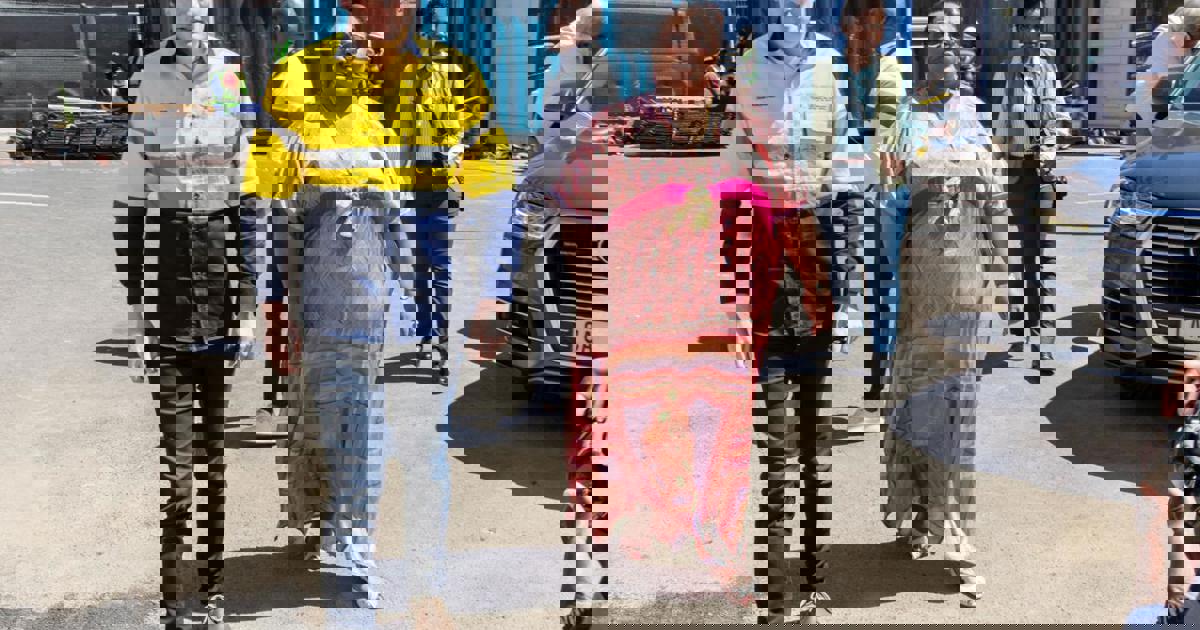 Speaker Didiza promises transparency in Parliamentary salary dispute