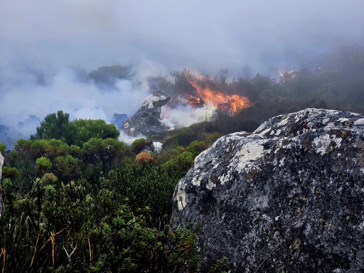 Mop-up operations underway following Table Mountain fire - Vimarsana News