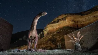 Entrance to Kgodumodumo Dinosaur Interpretation Centre in FS free for all SAns until 30 Sept Entrance to Kgodumodumo Dinosaur Interpretation Centre in FS free for all SAns until 30 Sept