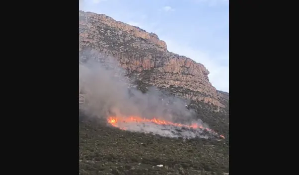 Picture: Facebook/@SANParks - Table Mountain National Park Picture: Facebook/@SANParks - Table Mountain National Park