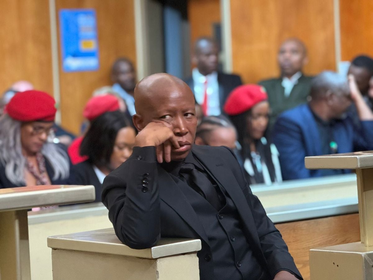 Judgment expected in Julius Malema's firearm discharge case
