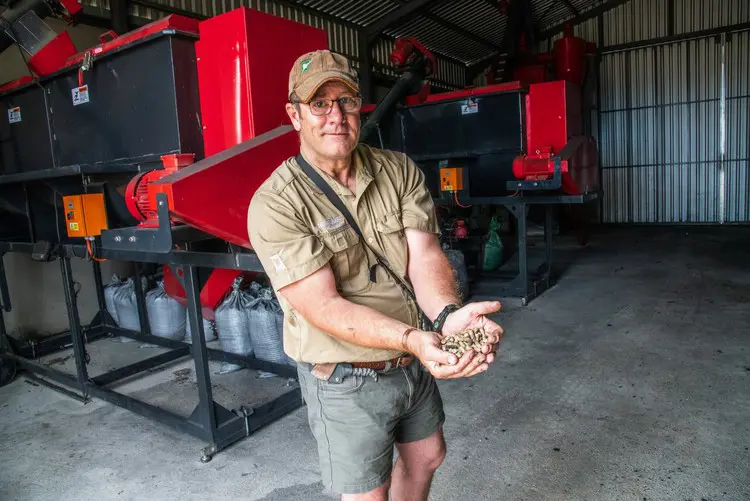 Nuwejaars River Nature Reserve operations manager Ross Kettles shows animal feed pellets derived partly from invasive alien vegetation cleared from wetlands on the Agulhas Plain. Picture: John Yeld/@GroundUp News Nuwejaars River Nature Reserve operations manager Ross Kettles shows animal feed pellets derived partly from invasive alien vegetation cleared from wetlands on the Agulhas Plain. Picture: John Yeld/@GroundUp News