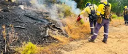 CapeNature notes record fires ahead of traditional high-risk period CapeNature notes record fires ahead of traditional high-risk period