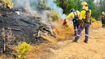 CapeNature notes record fires ahead of traditional high-risk period CapeNature notes record fires ahead of traditional high-risk period