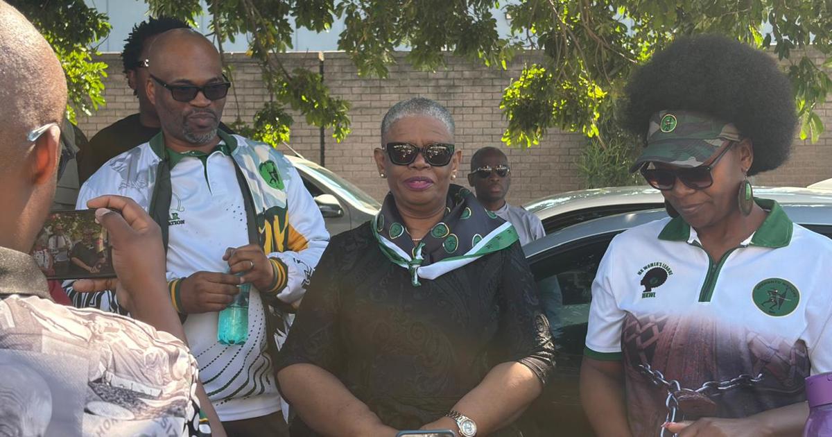 Zandile Gumede trial: Court to receive medical, accident reports from an accused