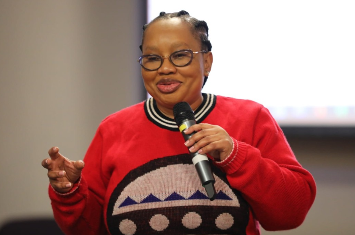 South African Minister Sisisi Tolashe Accused of Misappropriation After Chinese SUV Given to Her Children — image 1